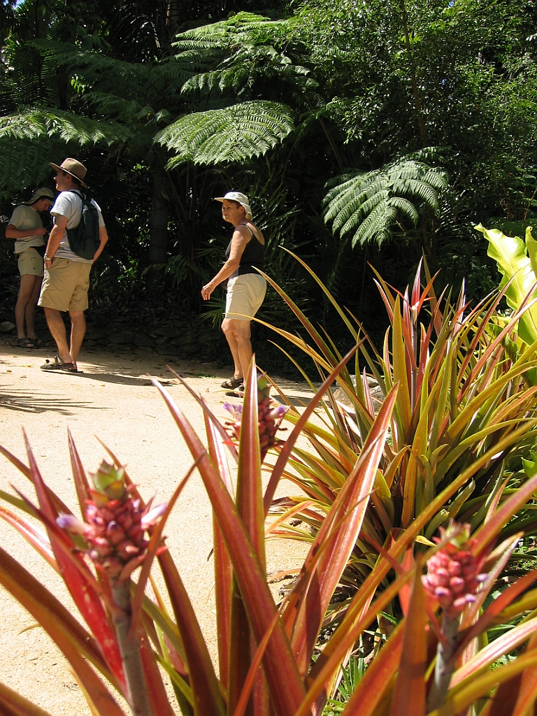 003 Jardin Botanique.jpg